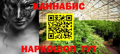 гидра Ставрополь