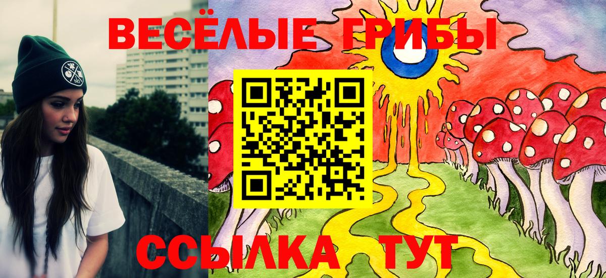 Псилоцибиновые грибы GOLDEN TEACHER Петропавловск-Камчатский