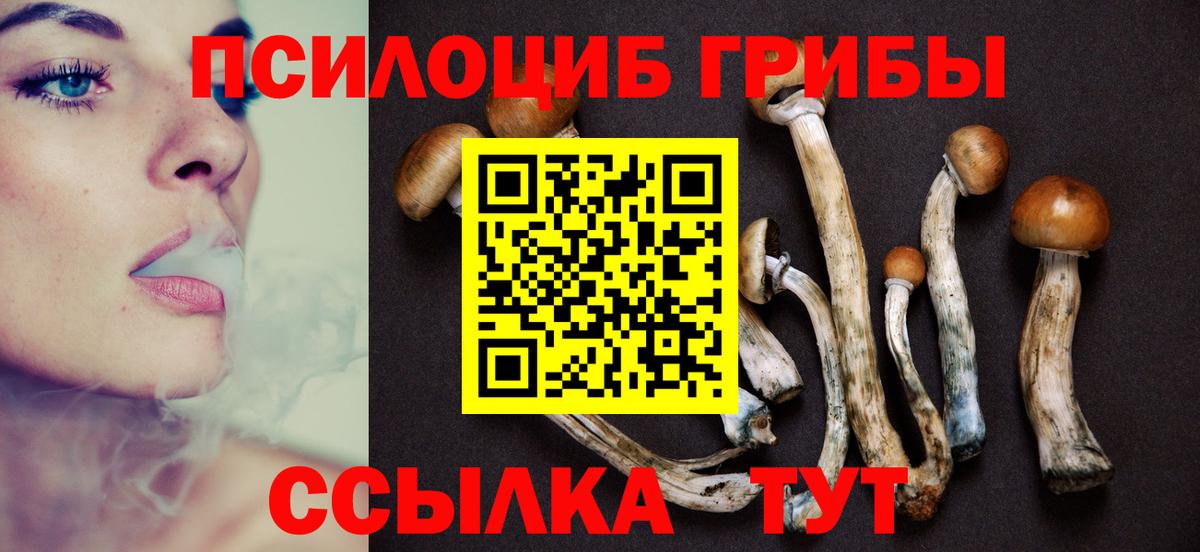 Галлюциногенные грибы MAGIC MUSHROOMS  Вход с VPN  Петропавловск-Камчатский  Галлюциногенные грибы ЛСД 